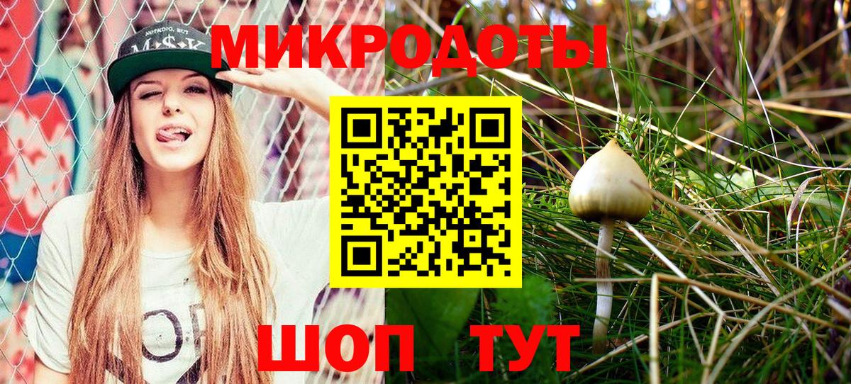 Галлюциногенные грибы мицелий Сухой Лог
