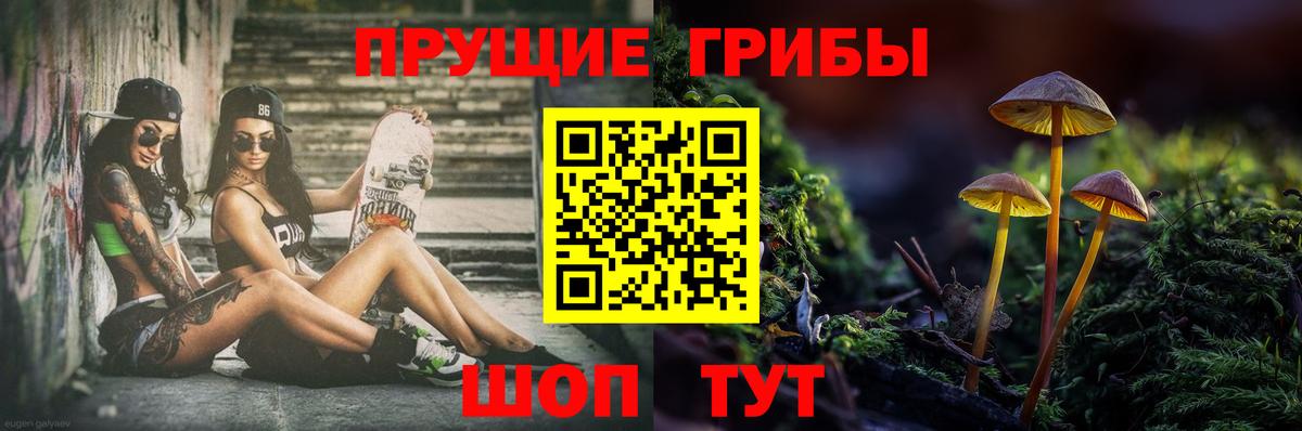 Псилоцибиновые грибы MAGIC MUSHROOMS  Вход с VPN  Сухой Лог 